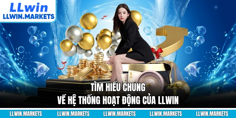 Tìm hiểu chung về hệ thống hoạt động của LLWIN